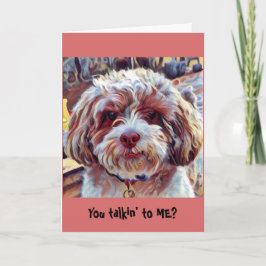 Puppy van de Hond van shih-Poo Shih Tzu het Kaart
