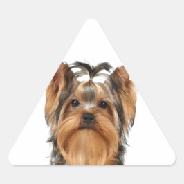 Puppy van de Yorkshire Terrier Sticker