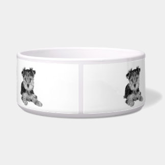 Puppy van de Yorkshire Terrier Voerbakje