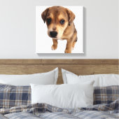 Puppy van gemengde rassen canvas afdruk (Insitu (Slaapkamer))