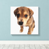 Puppy van gemengde rassen canvas afdruk (Insitu (Houten vloer))