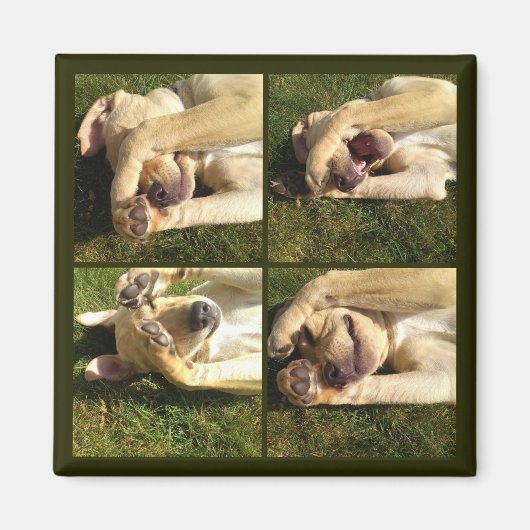 Puppy verbergen en zoeken magneet (Voorkant)