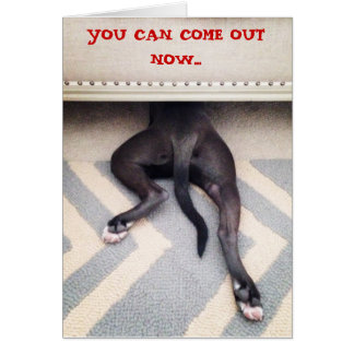 Puppy verbergen onder bank