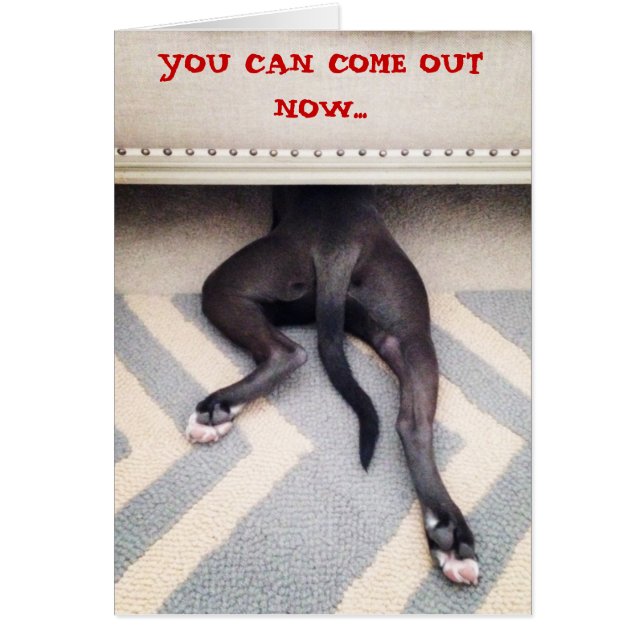 Puppy verbergen onder bank (Voorkant)