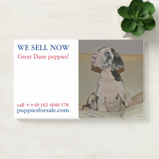 Puppy verkoop aantekeningen post-it® notes (Kantoor)