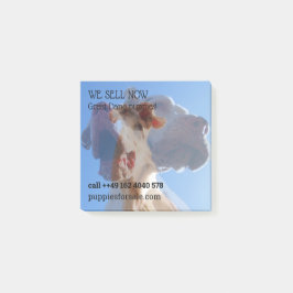 Puppy verkoop aantekeningen post-it® notes