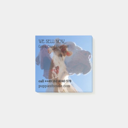 Puppy verkoop aantekeningen post-it® notes (Voorkant)
