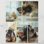 Puppy Verkoop Flyer (Achterkant)