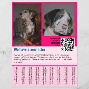 puppy verkoop flyer sjabloon QR code