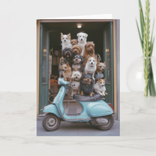 Puppy-verpakt Vespa-avontuur