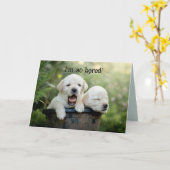 PUPPY VERVELING DENKEN AAN JE KAART (Gele Bloem)