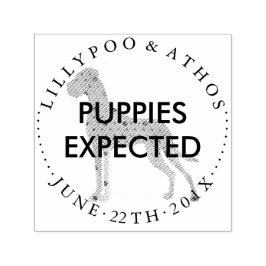 Puppy verwachtings stempels Grote Daan