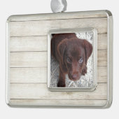 Puppy Verzilverd Omlijst Ornament (Links)