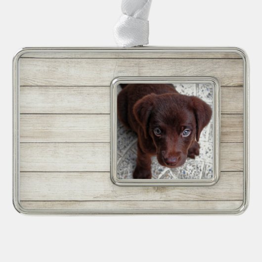 Puppy Verzilverd Omlijst Ornament (Voorkant)