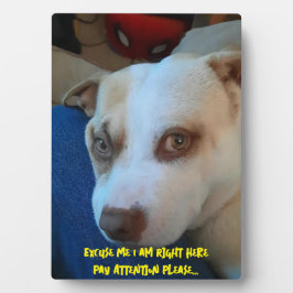 Puppy voetstuk teken fotoplaat