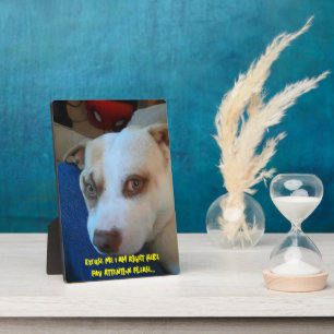 Puppy voetstuk teken fotoplaat