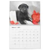 Puppy voor labrador Retriever Kalender (Feb 2027)