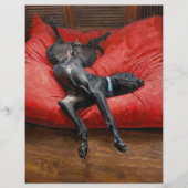 puppy voor verkoop flyer sjablonen (Achterkant)