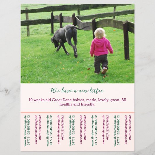 puppy voor verkoop flyer sjablonen (Voorkant)