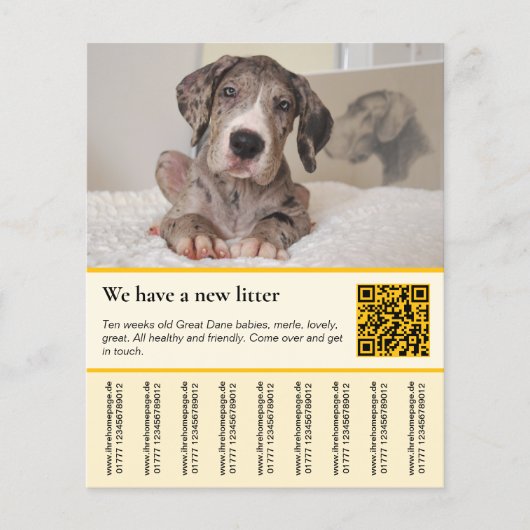 puppy voor verkoop flyer sjablonen (Voorkant)