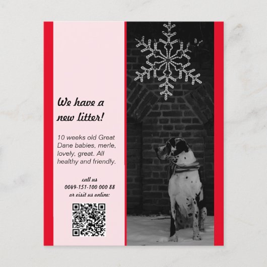 puppy voor verkoop flyer sjablonen (Voorkant)