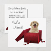 Puppy wijziging van adres Briefkaarten (Voorkant / Achterkant)