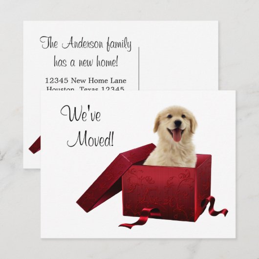 Puppy wijziging van adres Briefkaarten (Voorkant / Achterkant)