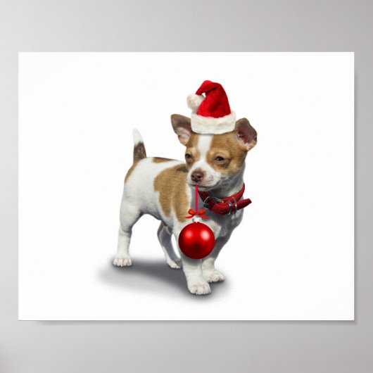Puppy with christmas hat and Ball Poster (Voorkant)
