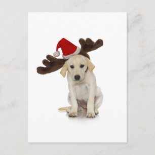 Puppy with Santa Hat and Reindeer Ears Feestdagenkaart