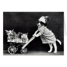 Puppy with Three Kittens in a Carriage