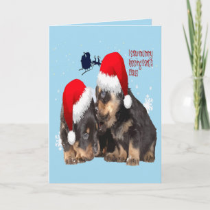 Puppy Witte Kerstmis Met Kerstman Slede Feestdagen Kaart