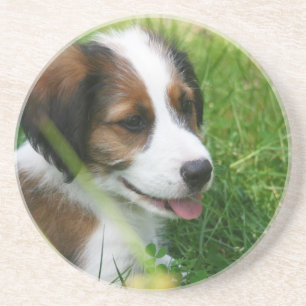Puppy Zandsteen Onderzetter