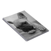 Puppyfrenchie Notitieboek (Rechterzijde)