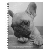 Puppyfrenchie Notitieboek (Voorkant)