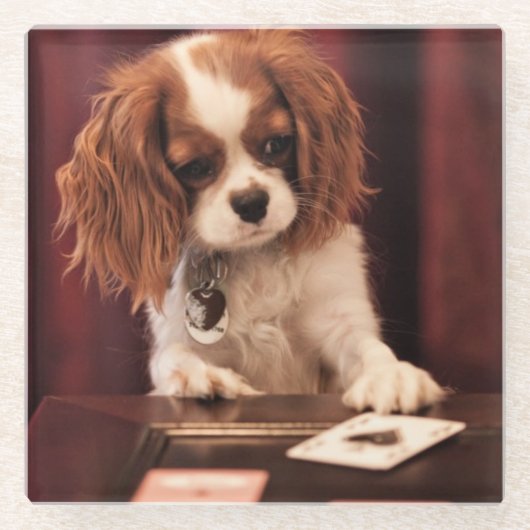 Puppyleenkaarten Glazen Onderzetter (Voorkant)