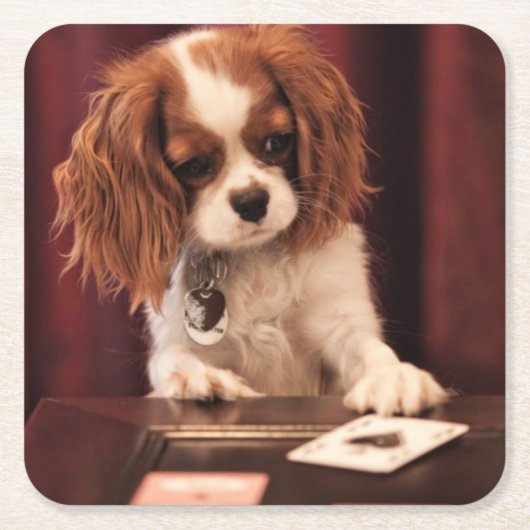 Puppyleenkaarten Kartonnen Onderzetters (Voorkant)