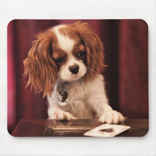 Puppyleenkaarten Muismat (Voorkant)