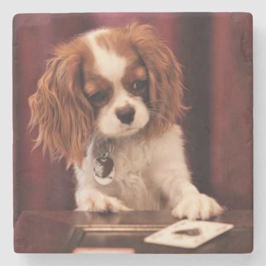Puppyleenkaarten Stenen Onderzetter (Voorkant)