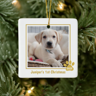Puppy's 1e Kerstmis Foto Ornament