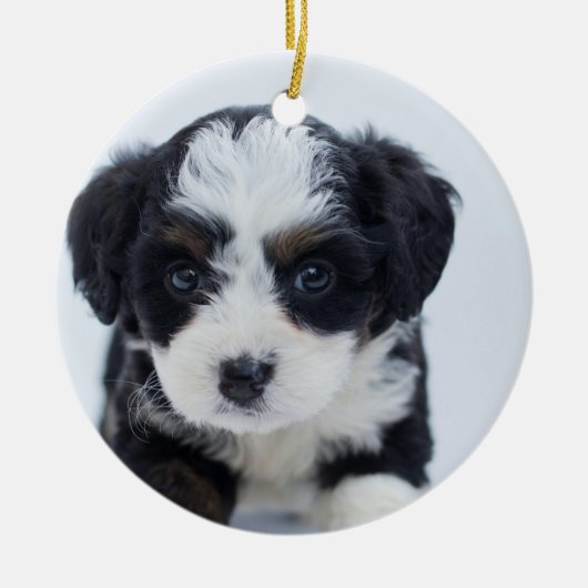 Puppy's eerste kerst keramisch ornament (Voorkant)