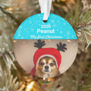 Puppy's eerste kerstfoto ornament