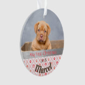 Puppy's eerste kerstfoto-Ornament Ornament (voorkant)