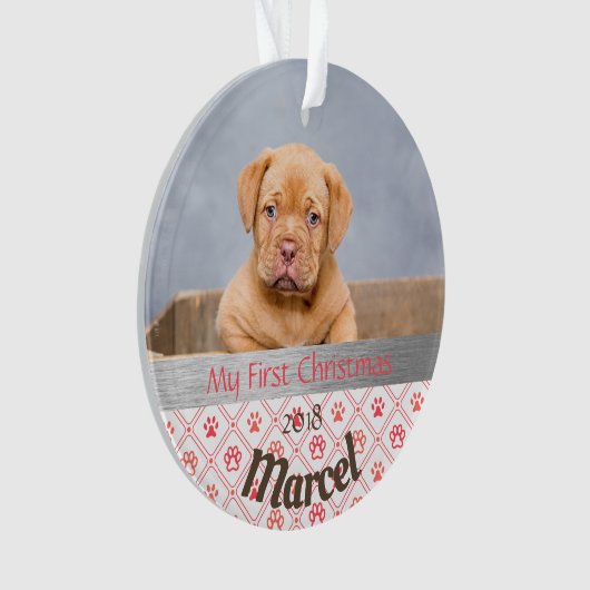 Puppy's eerste kerstfoto-Ornament Ornament (voorkant)