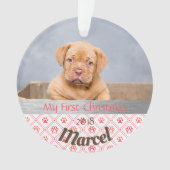 Puppy's eerste kerstfoto-Ornament Ornament (voorkant)