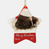 Puppy's eerste kerstversiering aanpassen keramisch ornament (Rechts)