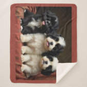 Puppy's Sherpa Deken (Voorkant)