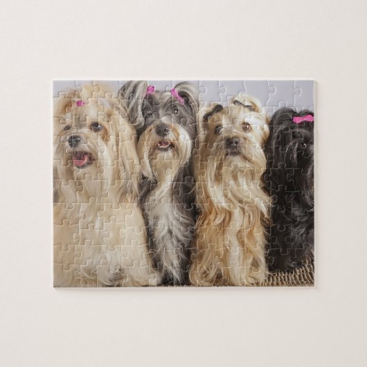 Puppy's Spel Puzzel (Horizontaal)