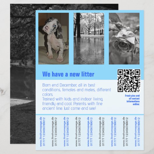 Puppy's te koop flyer met QR-code (Voorkant / Achterkant)