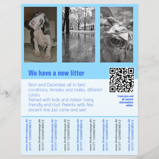 Puppy's te koop flyer met QR-code (Voorkant)