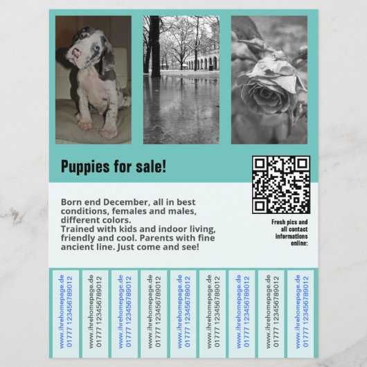 puppy's te koop flyer sjabloon QR code (Voorkant)